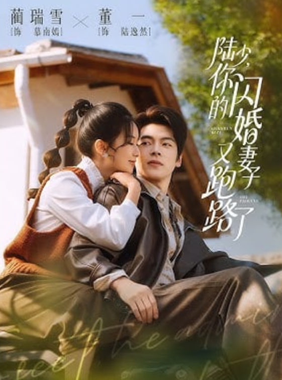 陆少，你的闪婚妻子又跑路了